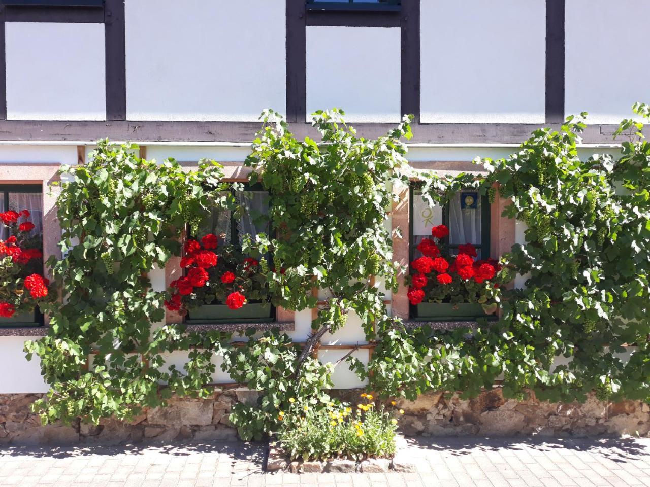 Balancehaus Kohren-Sahlis, Dein Kurhaus In Sachsen Hotel ภายนอก รูปภาพ